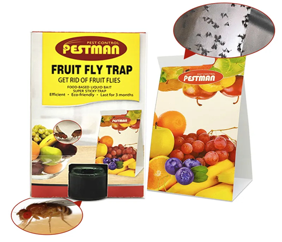 TERRO, fruit fly trap