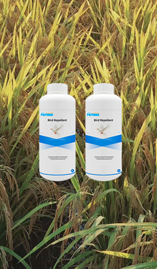 Pestman Bird Repellent: Protect Crops From Quelea Birds With Pesticide ...