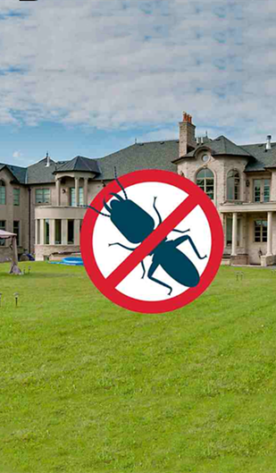 Solutions for Termite Management in Villas