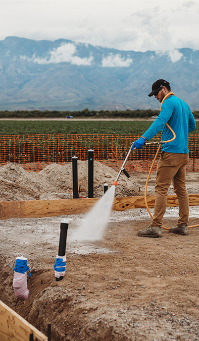 Termite Management and Prevention Techniques